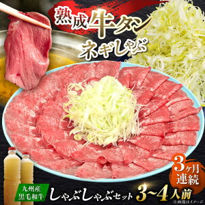 yӂ邳Ɣ[ŁzyS3ցzBY јa ^ԂԃZbg 500g v1.5kg g샖/₫Ƃ䎟Y [FCJ072]