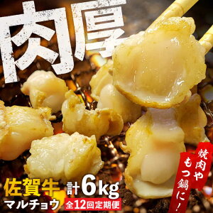 yӂ邳Ɣ[ŁzyS12ցz yÂĂՂՂIzꋍz ēp  v6kgi250g/܁jtȂ g샖/₫Ƃ䎟Y[FCJ093]