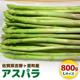 【ふるさと納税】限定30箱！先行予約 / 受付は3/25まで！【26年2月下旬〜4月上旬順次発送】吉野ヶ里産アスパラガス 春芽 800g(20本〜30本) 吉野ヶ里町/K-ファーム吉野ヶ里