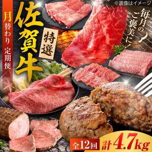 yӂ邳Ɣ[ŁzyS12ցz20R[XIꋍ ւoGeBpbN v4.7kg Ж/g샖[FCV004]
