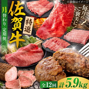yӂ邳Ɣ[ŁzyS12ցz30R[XIꋍ ւoGeBpbN v5.9kg Ж/g샖[FCV005]