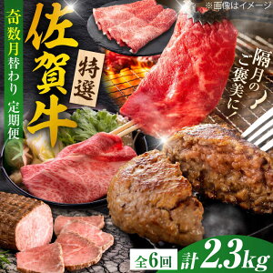 yӂ邳Ɣ[ŁzyS6/z10R[XIꋍ ւoGeBpbN v2.3kg /  ꋍ  /Ж/g샖[FCV006]
