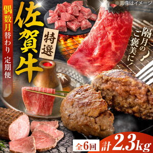 yӂ邳Ɣ[ŁzyS6/z10R[XIꋍ ւoGeBpbN v2.3kg Ж/g샖[FCV007]