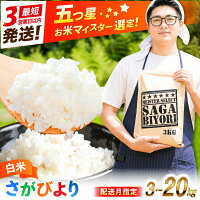 【ふるさと納税】米 さがびより 白米【選べる容量・配送月・定期便】5kg ...