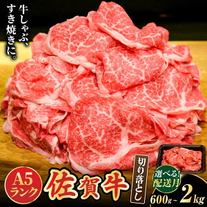 yӂ邳Ɣ[Łzyr[Ly[JÒIzN̐؂藎Ƃ ꋍ A5 N ؂藎Ƃ 1kg 1.6kg 2kg 600g  yIׂeʁEz|  uh ꋍ ؂