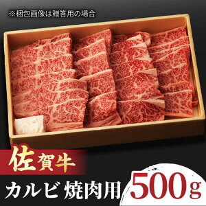 yӂ邳Ɣ[Łzꋍ Jr ēp 500g g샖/NICKfS MEAT [FCY010]