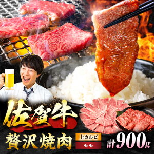 yӂ邳Ɣ[Łzyꋍ ēiZbgz Jr v900g g샖/NICKfS MEAT[FCY031]