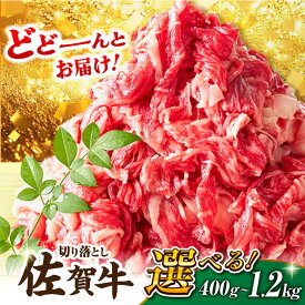 【ふるさと納税】【選べる発送月】【不揃い訳あり・部位おまかせ】600g×2 計1.2kg 佐賀牛 切り落とし（肩orバラ）吉野ヶ里町 [FDB001]