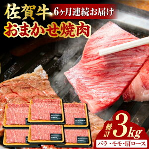 yӂ邳Ɣ[Łzy6ցz I ꋍ ēp v3kg i500g×6j oE[XÊꂩ̕ʁ g샖 [FDB034]