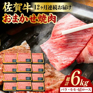yӂ邳Ɣ[Łzy12ցz I ꋍ ēp v6kg i500g×12j oE[XÊ̕ʁ g샖 [FDB035]