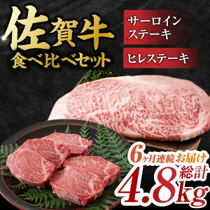 yӂ邳Ɣ[Łzy6ցzI ꋍ qXe[LT[CXe[L Hה Zbg v4.8kg iq150gET[C250g×e2×6j g샖 [FDB037]