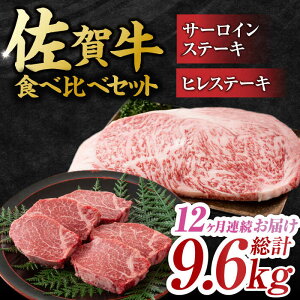 yӂ邳Ɣ[Łzy12ցzꋍ qXe[LT[CXe[L Hה Zbg v9.6kg iq150gET[C250g×e2×12j g샖 [FDB038]