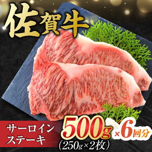 yӂ邳Ɣ[Łzy6ցz I ꋍ T[CXe[Lv3kg i250g×2×6j g샖 [FDB040]