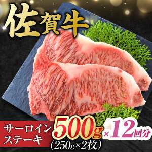 yӂ邳Ɣ[Łzy12ցz I ꋍ T[CXe[L v6kg i250g×2×12j g샖 [FDB041]