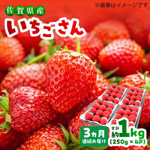 yӂ邳Ɣ[Łzy1`3zyS3ցz v1kgȏi250g×4Pj/  C`S ʕ /g샖/TZt@[[FDF002]