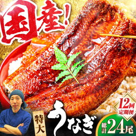 【ふるさと納税】【全12回定期便】国産！九州仕立ての特大うなぎ蒲焼 計400g（200g×2尾）吉野ヶ里町/株式会社フジマキ うなぎ ウナギ 国産[FDM010]