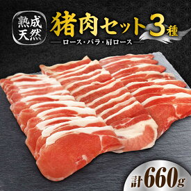 【ふるさと納税】脊振ジビエ（熟成天然いのしし肉）☆中級〜上級者セット 計660g（ロース・バラ肉 各100g×2/肩ロース プルコギ味 130g×2） 吉野ヶ里町 / ジビエの匠[FDO002]