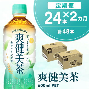 yӂ邳Ɣ[Łzy2Jցzu 600mlPET×24{(v2P[X)yRJR[ JtFC[  ΂  Y  ngM   唞 hN_~  ybg{g