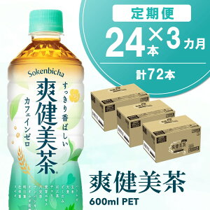 yӂ邳Ɣ[Łzy3Jցzu 600mlPET×24{(v3P[X)yRJR[ JtFC[  ΂  Y  ngM   唞 hN_~  ybg{g