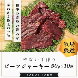 【ふるさと納税】やないの手作りビーフジャーキー 50g×10袋【梁井牧場 贅沢 九州醤油 特製ダレ 漬け込み 和牛 赤身 旨み 酒 ビール 焼酎 ワイン おつまみ おすすめ】K081044
