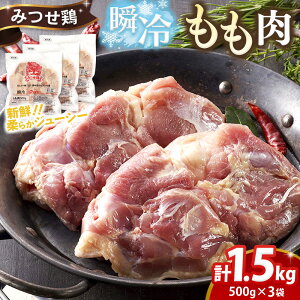 yӂ邳Ɣ[Łz݂{yʂIׂ ނ˓  500g×3 `LT_ `L\e[ { ނ˓  ᎉ J[ wV[ _CGbg | _炩 ؂ 