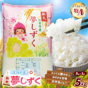 yӂ邳Ɣ[Łzyߘa7NYVāz 5kgy   ߂  nY VN F R  ꌧzK018028