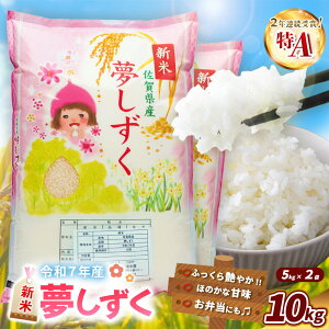 yӂ邳Ɣ[Łzyߘa7NYVāz 10kgy   ߂  nY VN F R  ꌧzK018029