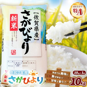 【ふるさと納税】【令和7年産新米】さがびより 10kg【特A米 米 ブランド米 県産米 精米 ごはん おにぎり お弁当 ふっくら もっちり】K018031