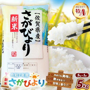 yӂ邳Ɣ[Łzyߘa7NYVāzт 5kgyA  uh Y  ͂ ɂ ٓ ӂ zK018030