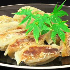 【ふるさと納税】手づくり餃子 銀の羽 40個入【ぎょうざ ジューシー コラーゲン ビールのおつまみ ボリューム 小分け】 K007017