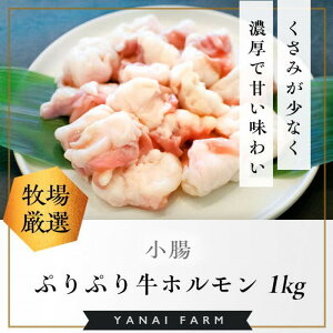 yӂ邳Ɣ[ŁzqǂȂ߂炩r ՂՂz 1kg()yR[Q   ՂՂ e ē   Xύ  pbNz K081026