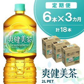 【ふるさと納税】【3か月定期便】爽健美茶 2L×6本(1ケース)【コカコーラ カフェインゼロ 香ばしい おいしい ブレンド茶 お茶 ハトムギ 玄米 大麦 ドクダミ ハブ茶 チコリー 麦芽 植物素材 飲料 ペットボトル】K090500