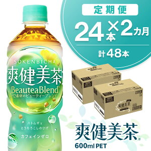 yӂ邳Ɣ[Łzy2Jցzu 600mlPET×24{(v2P[X)yRJR[ JtFC[  ΂   ngM   唞 hN_~  ybg{g 