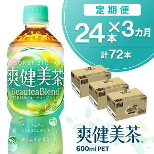 yӂ邳Ɣ[Łzy3Jցzu 600mlPET×24{(v3P[X)yRJR[ JtFC[  ΂   ngM   唞 hN_~  ybg{gzK0