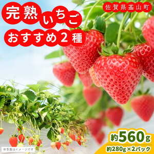 �y�ӂ邳�Ɣ[�Łz�y��s��t 2026�N1����蔭���z�y�_�꒼���I�z������2�i��H�ה��(��280g×2P)�y�ӂ邳�Ɣ[�� ��R���Y ������ �C�`�S ���̂� ���n�ʁzK100009