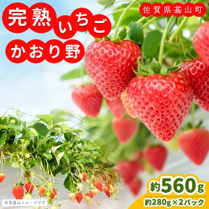 �y�ӂ邳�Ɣ[�Łz�y��s��t 2026�N1����蔭���z�y�_�꒼���I�z�������(��280g×2P)�y�ӂ邳�Ɣ[�� ��R���Y ������ �C�`�S ���̂� ���n�ʁzK100003