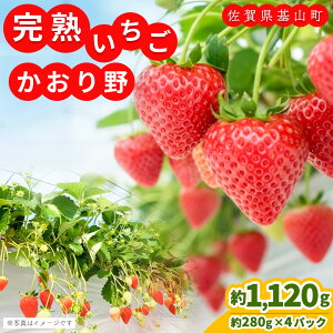 �y�ӂ邳�Ɣ[�Łz�y��s��t 2026�N1����蔭���z�y�_�꒼���I�z�������(��280g×4P)�y�ӂ邳�Ɣ[�� ��R���Y ������ �C�`�S ���̂� ���n�ʁzK100004