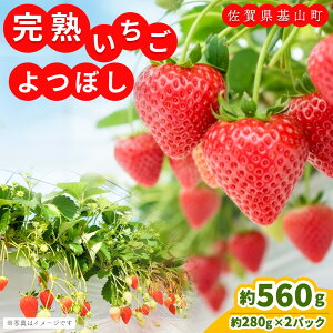 �y�ӂ邳�Ɣ[�Łz�y��s��t 2026�N1����蔭���z�y�_�꒼���I�z��ڂ�(��280g×2P)�y�ӂ邳�Ɣ[�� ��R���Y ������ �C�`�S ���̂� ���n�ʁzK100001