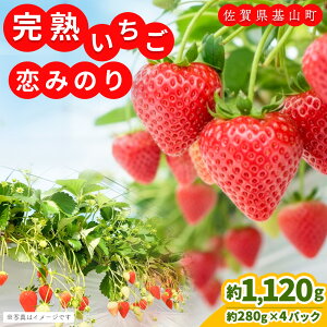 �y�ӂ邳�Ɣ[�Łz�y��s��t 2026�N1����蔭���z�y�_�꒼���I�z���݂̂�(��280g×4P)�y�ӂ邳�Ɣ[�� ��R���Y ������ �C�`�S ���̂� ���n�ʁzK100008