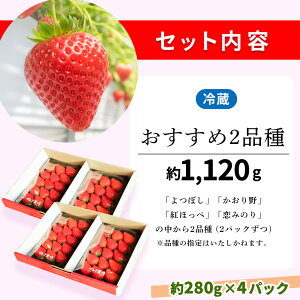 �y�ӂ邳�Ɣ[�Łz�y��B���z���z�y��s��t 2026�N1����蔭���z�y�_�꒼���I�z������2�i��H�ה�� (��280g×2P) (��280g×4P)�y�ӂ邳�Ɣ[�� ��R���Y ������ �C�`�S ���̂� ���n�ʁzK100P015