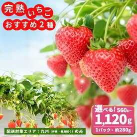 【ふるさと納税】【九州内配送】【先行受付 2026年1月より発送】【農場直送！】いちご2品種食べ比べ (約280g×2P) (約280g×4P)【ふるさと納税 基山町産 いちご イチゴ 朝採れ 完熟果】K100P015