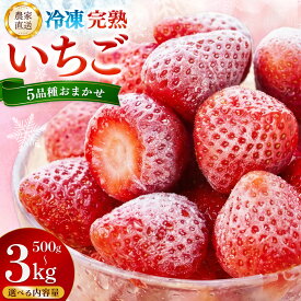 【ふるさと納税】冷凍完熟いちご 内容量が選べる【500g 1kg 2kg 3kg 完熟いちご 冷凍いちご イチゴ 苺 産地直送 農場直送 ヘタ無し げんき農場 よつぼし おいCベリー かおり野 紅ほっぺ 恋みのり】K100P001