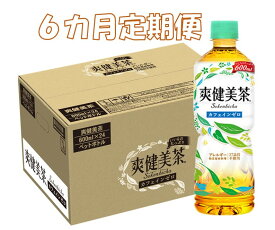 【ふるさと納税】C85-003R 6カ月定期便 爽健美茶 600mlPET（計6ケース）