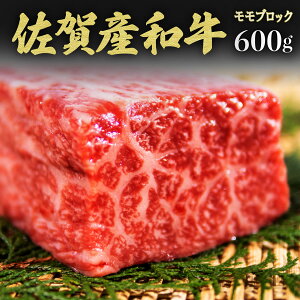 yӂ邳Ɣ[ŁzyYazubNi^^LE[Xgr[tEēj600g