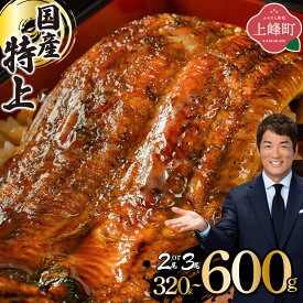 【ふるさと納税】累計30万件突破　国産 うなぎ 蒲焼 2尾 計320g〜3尾 計600g 選べる配送月 特大 特上 鰻 ウナギ 炭火焼き 宮崎産 鹿児島産 他九州産