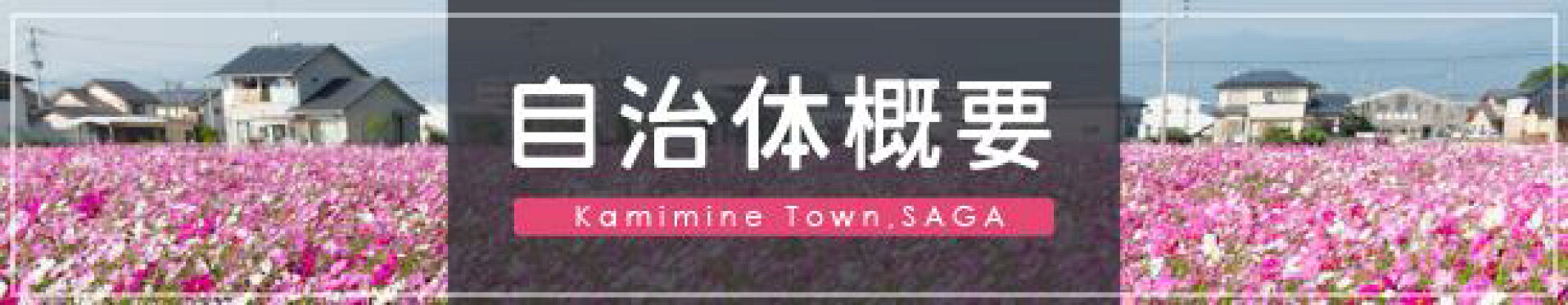 自治体概要