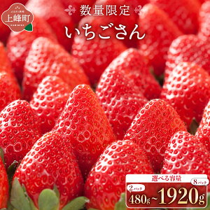 �y�ӂ邳�Ɣ[�Łz�y�I�ׂ�e�ʁE�񐔁z���ꌧ�Y�������u����������v�v1920g(240g×8P) �v960g( 240g×4P) �v480g(240g×2P) �C�`�S � �Â� �l�C �t���[�c �ʎ� ����� ���������� ������