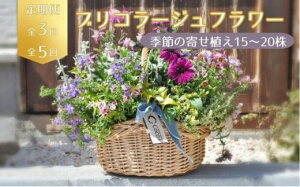 yӂ邳Ɣ[Łzy3zG߂̂Ԃy߂遙ԉ̒ 3 5 uR[Wt[ 񂹐A 15~20