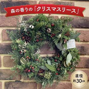 yӂ邳Ɣ[ŁzX̍́uNX}X[Xv   ϗtA Xmas Gߌ ʌ  11{菇܂