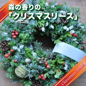 yӂ邳Ɣ[ŁzX̍́uNX}X[Xv   ϗtA Xmas Gߌ ʌ  11{菇܂